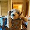stacey_milke